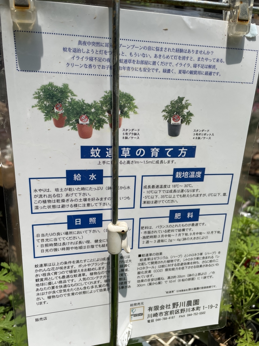 f:id:macaronblog:20210615214229j:plain