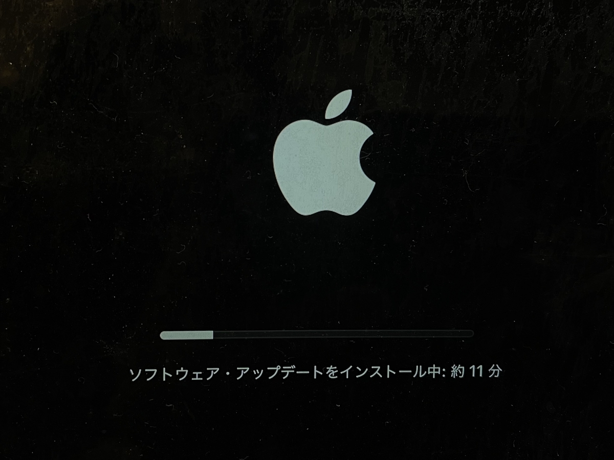 f:id:macaronblog:20211204223005j:plain