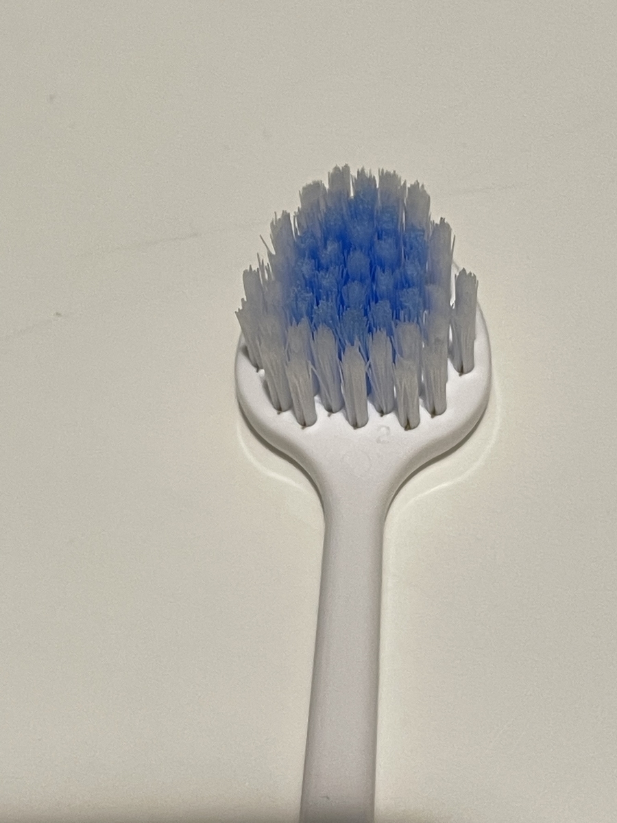 f:id:macaronblog:20220205230315j:plain