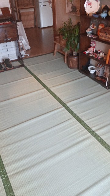 f:id:macaronchouchou:20260612053815j:image