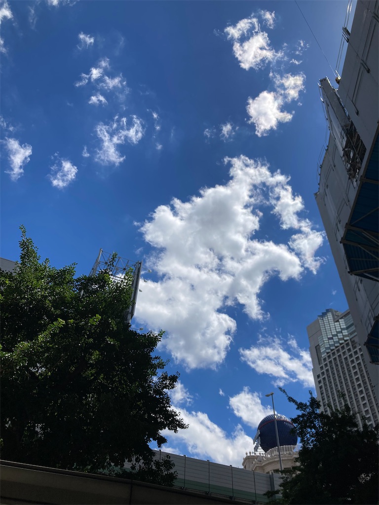 f:id:macaronimariko:20230831123333j:image f:id:macaronimariko:20230831123333j:image