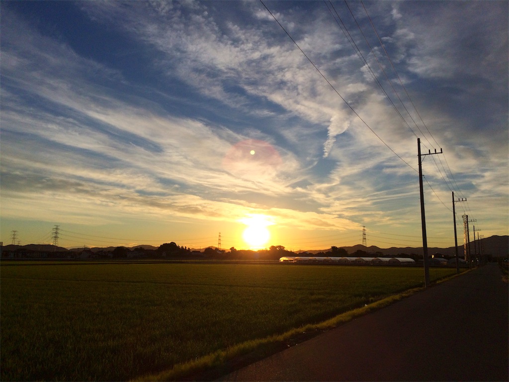 f:id:macaronsan:20190623193822j:image