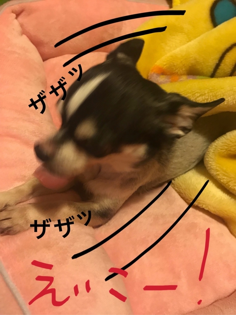 f:id:macavity:20171213120917j:plain