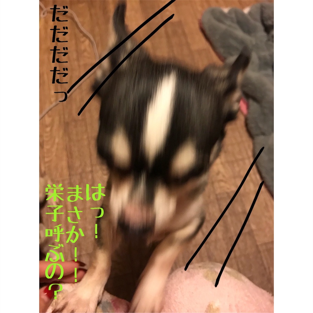 f:id:macavity:20171213193942j:image