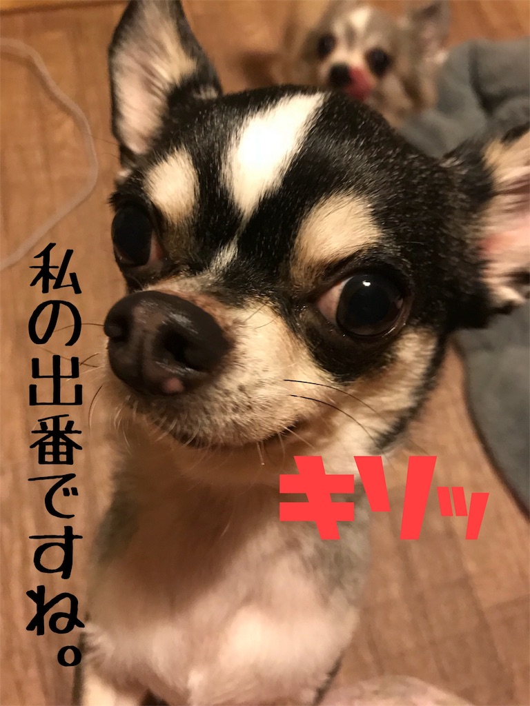f:id:macavity:20171213194004j:image