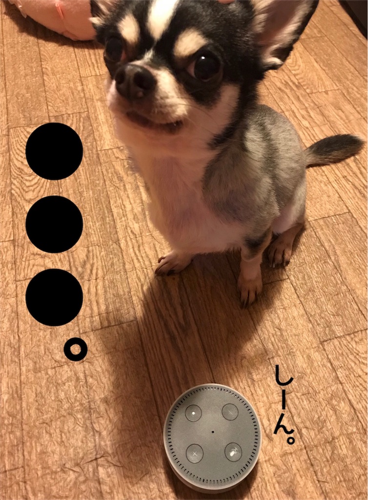 f:id:macavity:20171213194045j:image