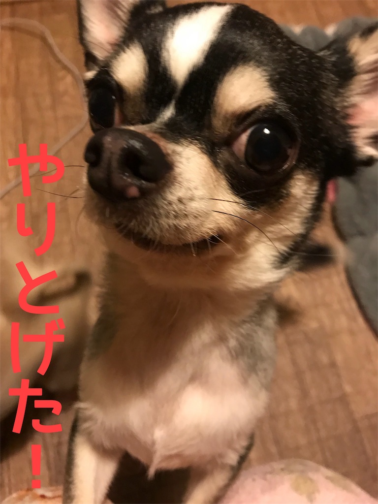 f:id:macavity:20171213194059j:image