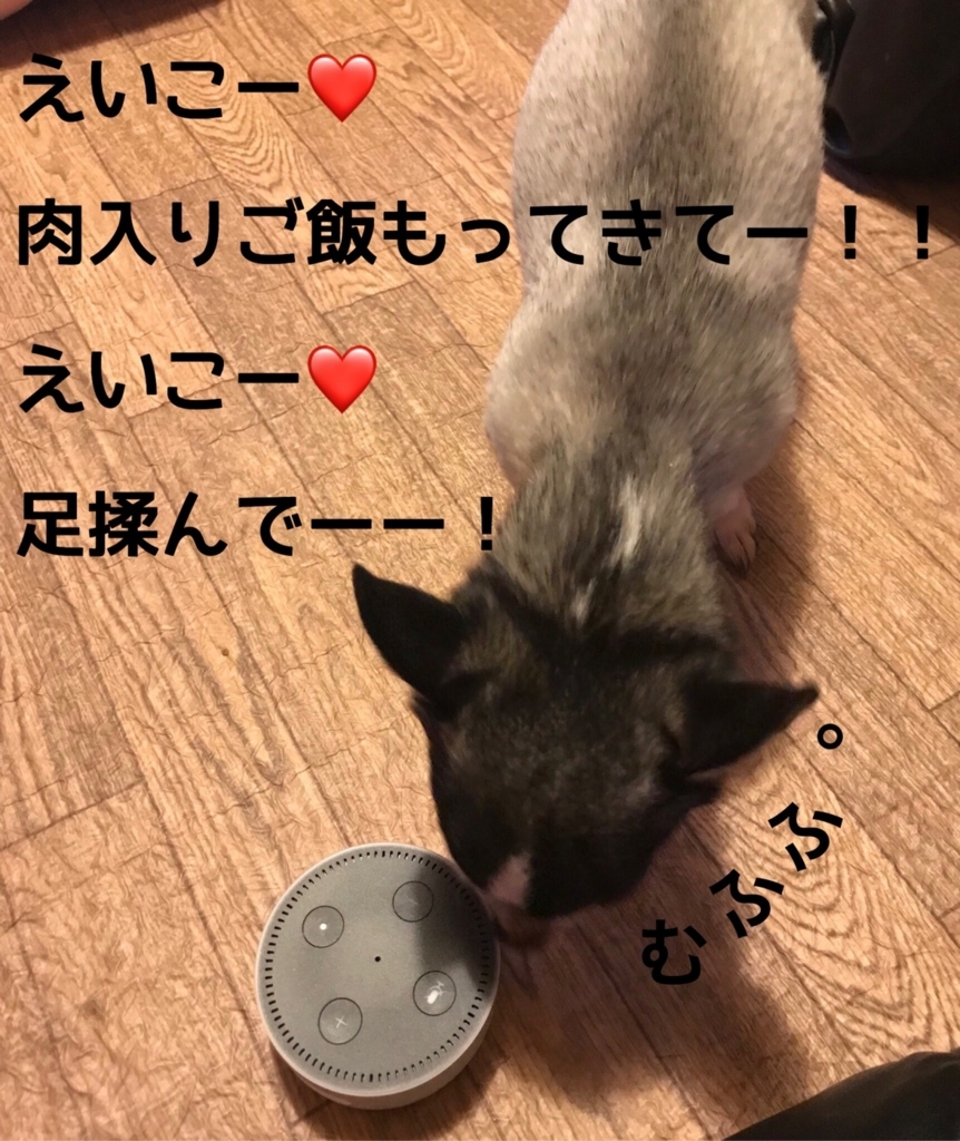 f:id:macavity:20171213195843j:plain