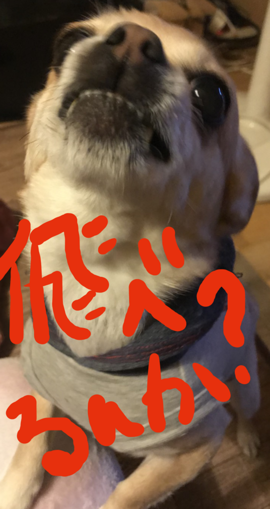 f:id:macavity:20180311204255p:plain