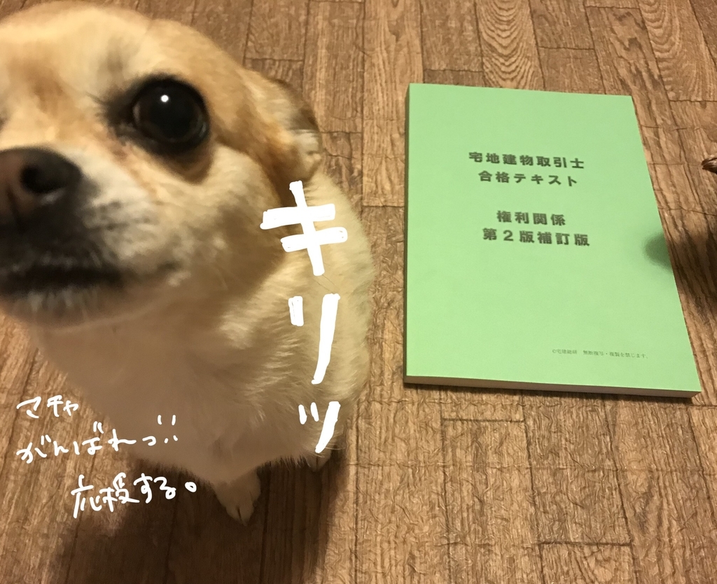 f:id:macavity:20190112212028j:plain f:id:macavity:20190112212028j:plain