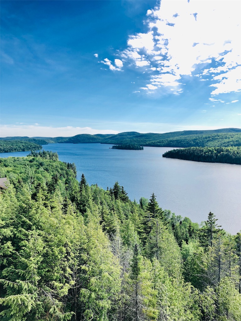 f:id:macboimtl:20190707201342j:image f:id:macboimtl:20190707201342j:image