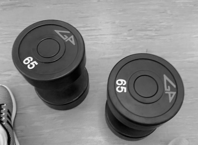 f:id:macboimtl:20191107040011j:plain dumbbell