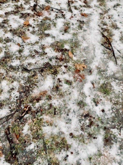 f:id:macboimtl:20191228000200j:plain f:id:macboimtl:20191228000200j:plain