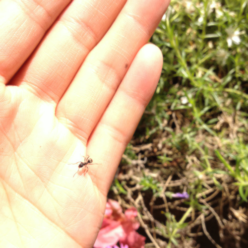 f:id:macchauno:20150523201822j:plain
