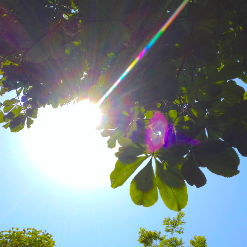 f:id:macchauno:20150523201834j:plain