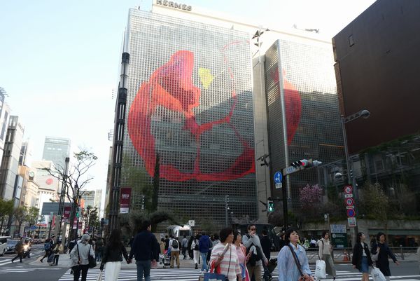 イメージ 5