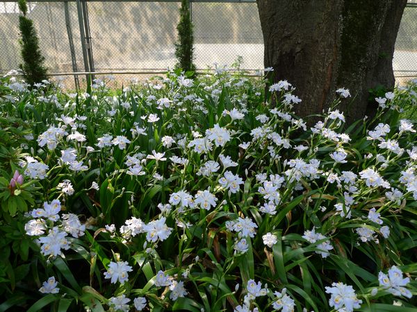 イメージ 15
