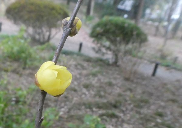 f:id:macchi105:20191230092448j:plain