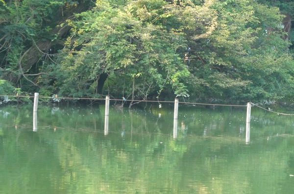 f:id:macchi105:20200816092217j:plain f:id:macchi105:20200816092217j:plain