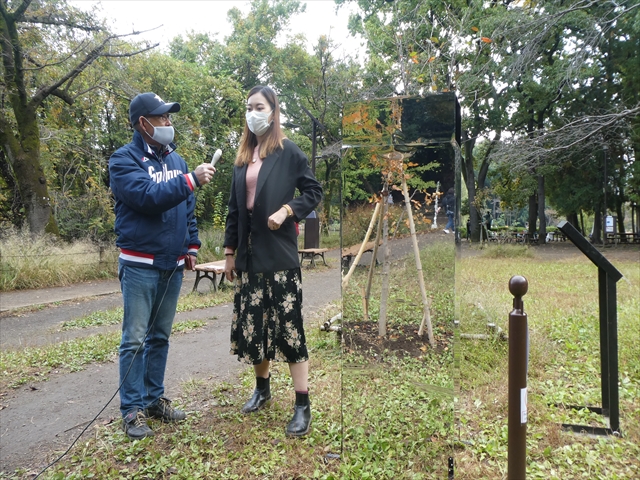 f:id:macchi105:20201104093000j:plain