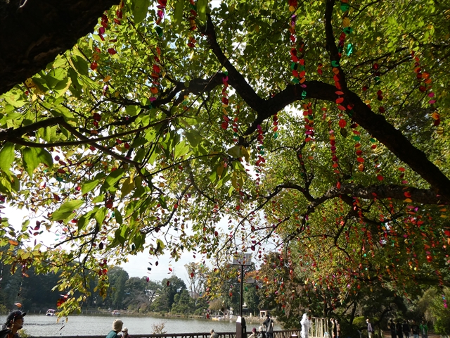 f:id:macchi105:20201104093216j:plain