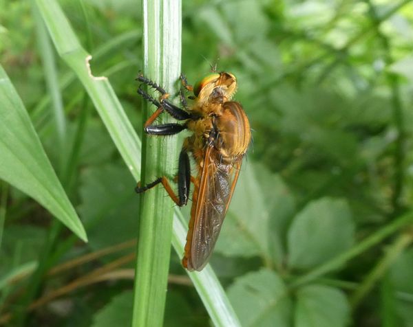 f:id:macchi105:20210720090357j:plain