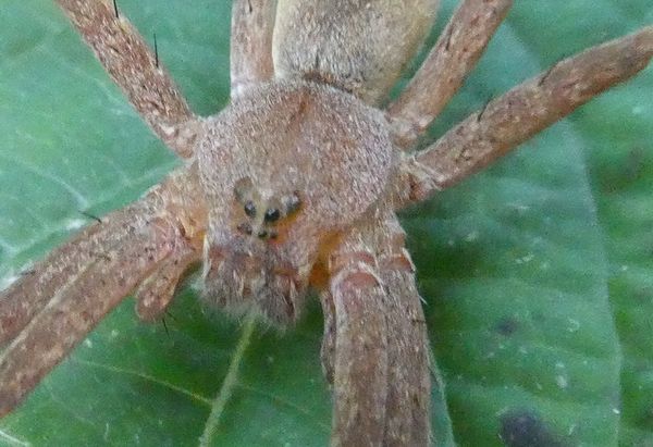 f:id:macchi105:20210720090544j:plain