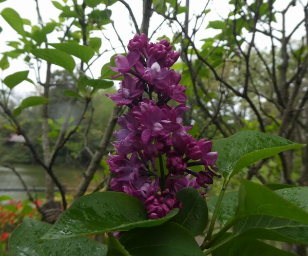 f:id:macchi105:20220414092253j:plain
