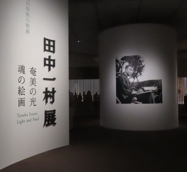田中一村のすべてを網羅した大回顧展 - 善福寺公園めぐり