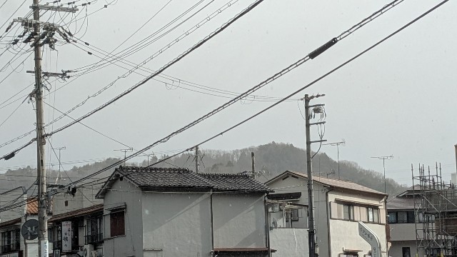 f:id:macchibow21:20250208143748j:image f:id:macchibow21:20250208143748j:image