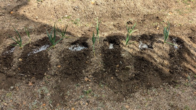 f:id:macchibow21:20250310144146j:image f:id:macchibow21:20250310144146j:image