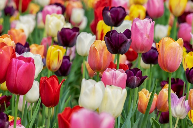 f:id:macchibow21:20250413132745j:image f:id:macchibow21:20250413132745j:image