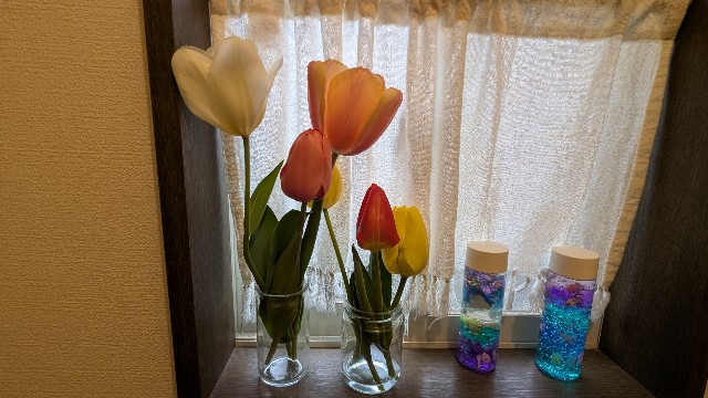 f:id:macchibow21:20250413133017j:image f:id:macchibow21:20250413133017j:image