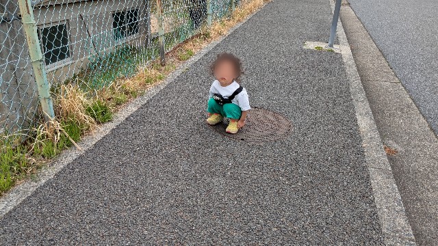 f:id:macchibow21:20250421125622j:image f:id:macchibow21:20250421125622j:image