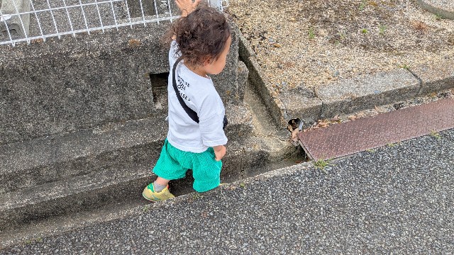 f:id:macchibow21:20250421125645j:image f:id:macchibow21:20250421125645j:image