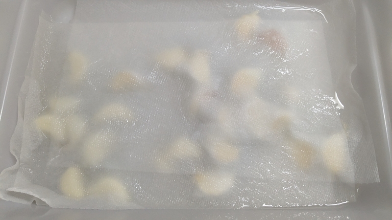 植え付け前準備2