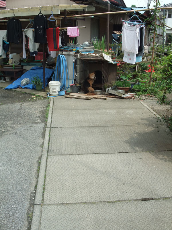 f:id:mach-i-naka:20100620103721j:image
