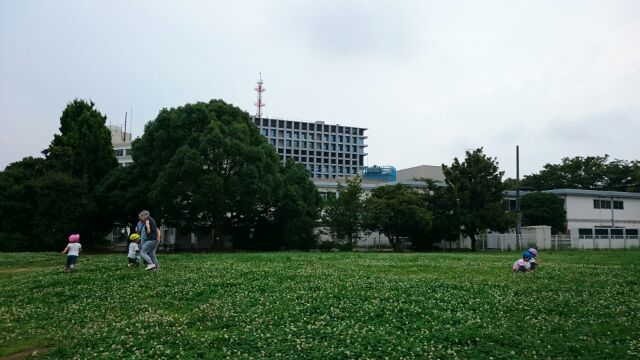 f:id:machacomama:20160727002850j:plain f:id:machacomama:20160727002850j:plain