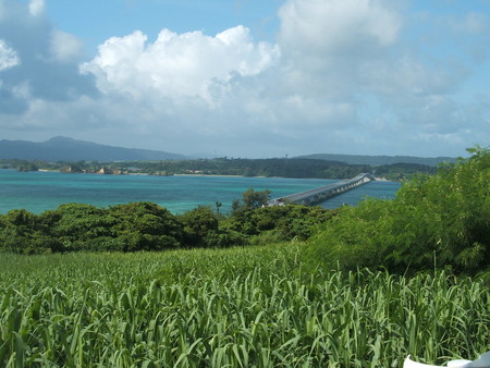 20080718201050