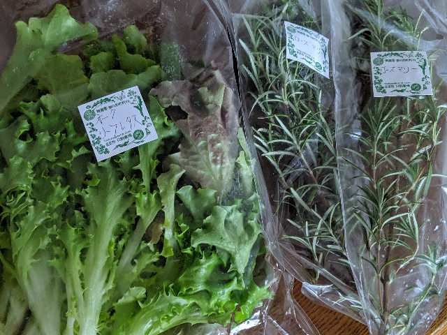 f:id:machaomix:20190427134020j:plain