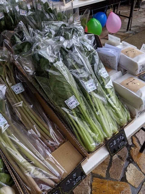 f:id:machaomix:20190427135535j:plain