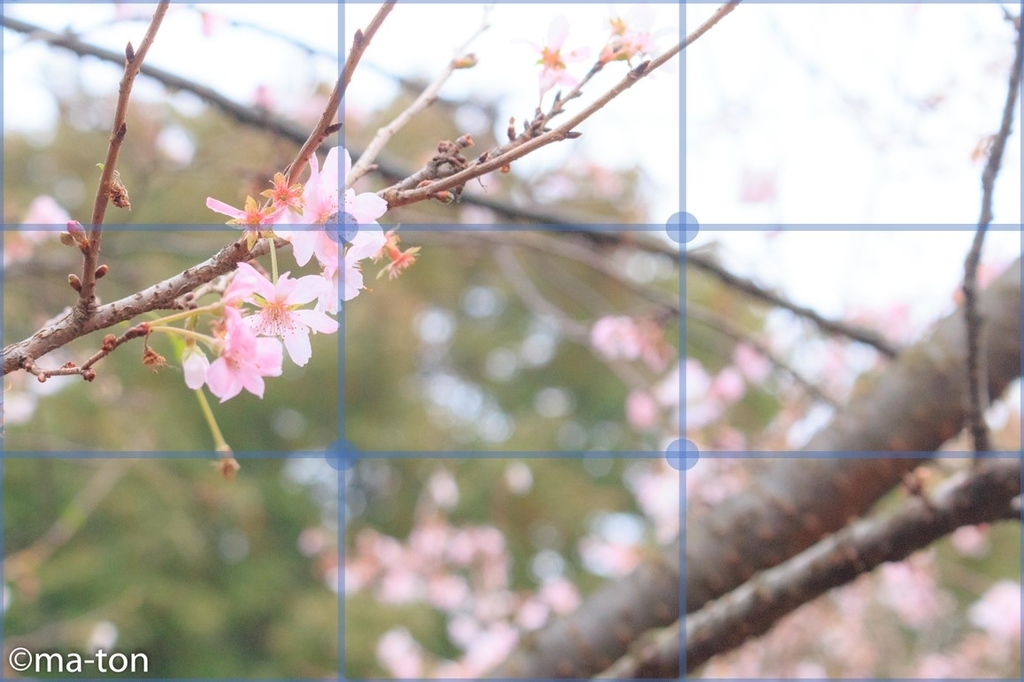 f:id:machapapa2929:20190113225437j:plain f:id:machapapa2929:20190113225437j:plain
