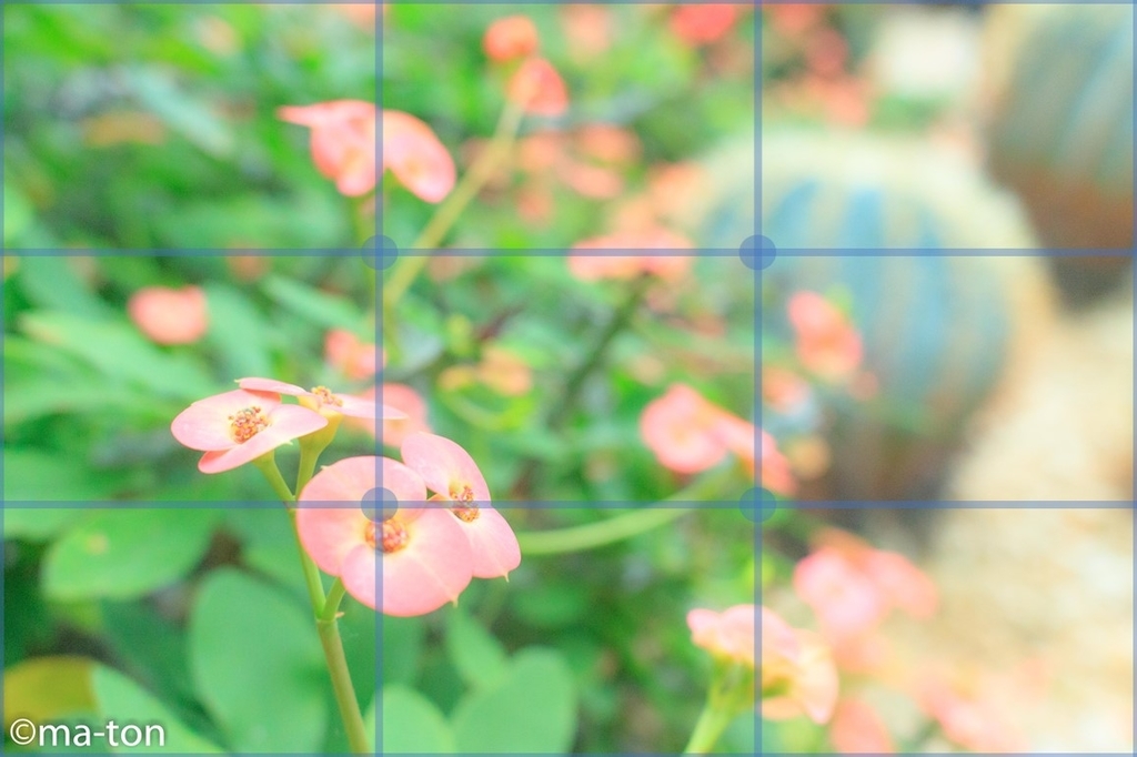 f:id:machapapa2929:20190113225456j:plain f:id:machapapa2929:20190113225456j:plain