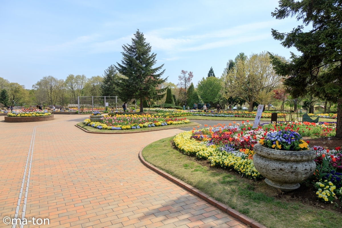 f:id:machapapa2929:20190421073222j:plain f:id:machapapa2929:20190421073222j:plain