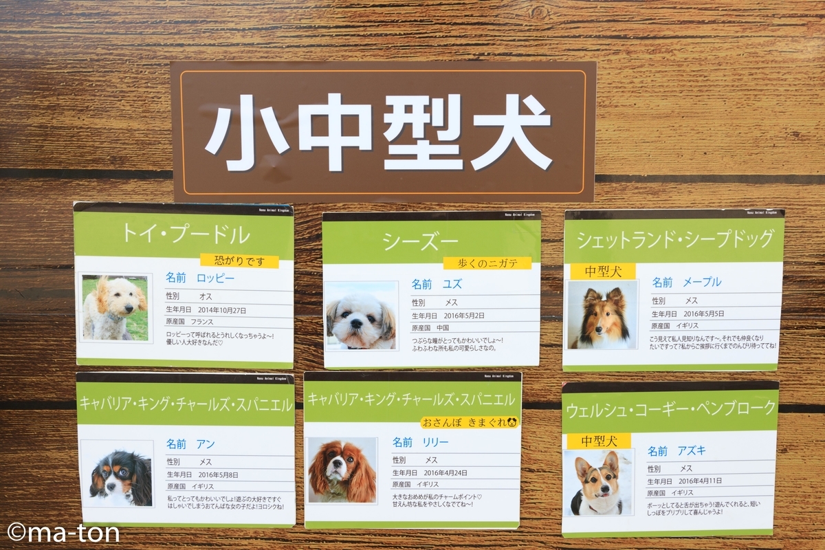 f:id:machapapa2929:20190517150246j:plain f:id:machapapa2929:20190517150246j:plain