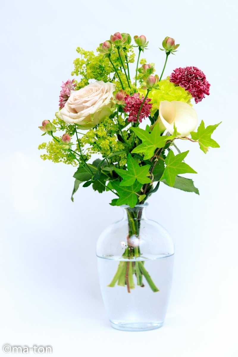 f:id:machapapa2929:20190615041353j:plain f:id:machapapa2929:20190615041353j:plain