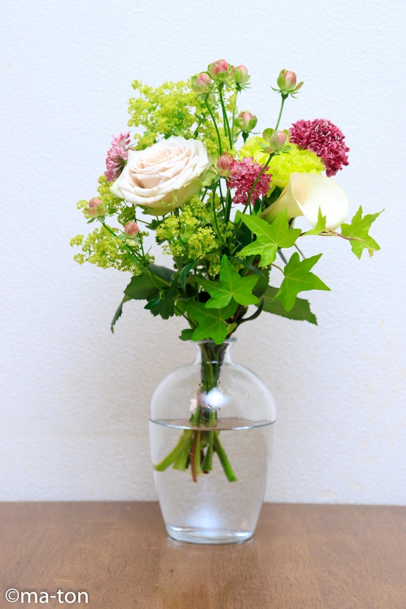 f:id:machapapa2929:20190615041434j:plain f:id:machapapa2929:20190615041434j:plain
