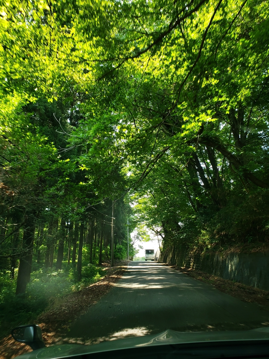 f:id:machi-media:20190821150916j:plain f:id:machi-media:20190821150916j:plain