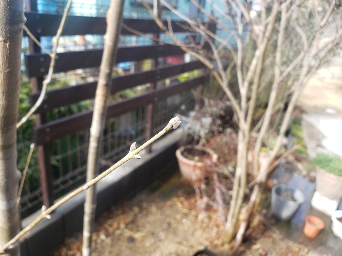 f:id:machi-media:20220316123523j:plain