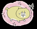 ブタネコ